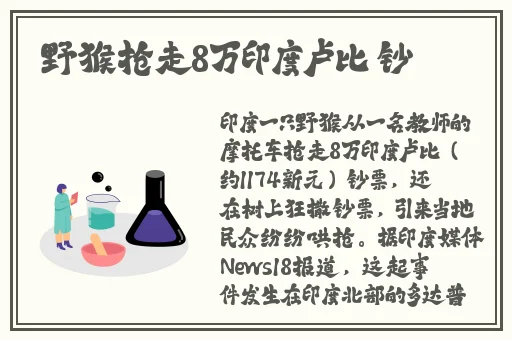 随着马儿的奔跑项弄